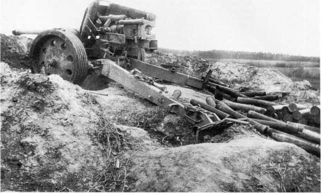 Иллюстрация к книге — Противотанковая артиллерия Вермахта во Второй Мировой войне. От "дверных колотушек" до "убийц танков" [i_085.jpg]