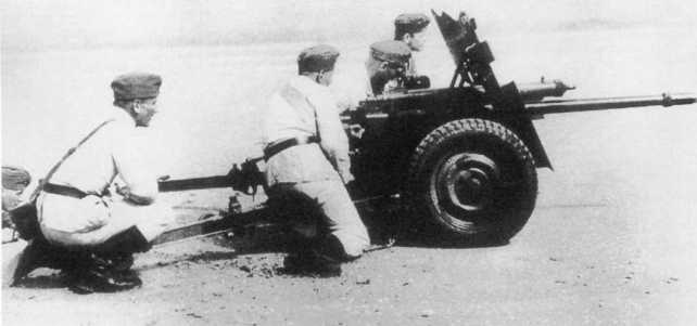 Иллюстрация к книге — Противотанковая артиллерия Вермахта во Второй Мировой войне. От "дверных колотушек" до "убийц танков" [i_097.jpg]