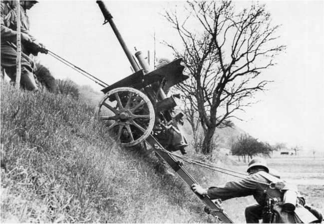 Иллюстрация к книге — Противотанковая артиллерия Вермахта во Второй Мировой войне. От "дверных колотушек" до "убийц танков" [i_101.jpg]