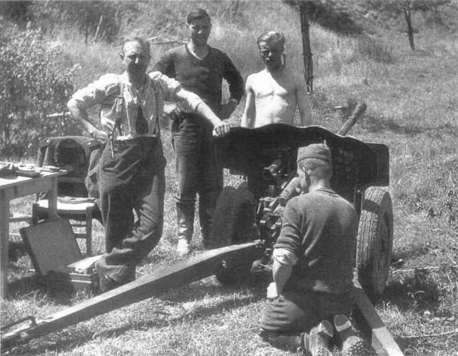 Иллюстрация к книге — Противотанковая артиллерия Вермахта во Второй Мировой войне. От "дверных колотушек" до "убийц танков" [i_116.jpg]