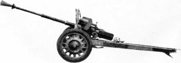 Иллюстрация к книге — Противотанковая артиллерия Вермахта во Второй Мировой войне. От "дверных колотушек" до "убийц танков" [i_120.jpg]