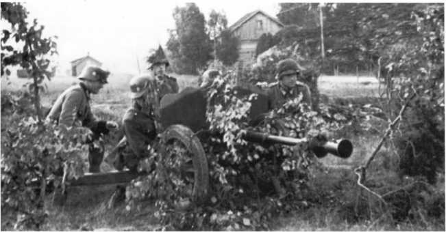 Иллюстрация к книге — Противотанковая артиллерия Вермахта во Второй Мировой войне. От "дверных колотушек" до "убийц танков" [i_121.jpg]