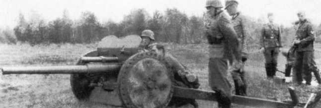 Иллюстрация к книге — Противотанковая артиллерия Вермахта во Второй Мировой войне. От "дверных колотушек" до "убийц танков" [i_124.jpg]