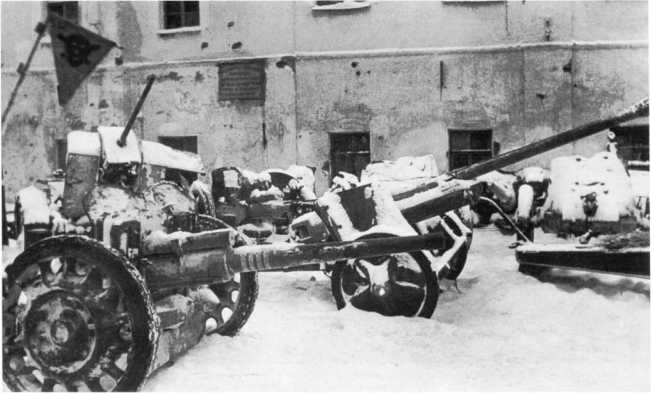 Иллюстрация к книге — Противотанковая артиллерия Вермахта во Второй Мировой войне. От "дверных колотушек" до "убийц танков" [i_127.jpg]