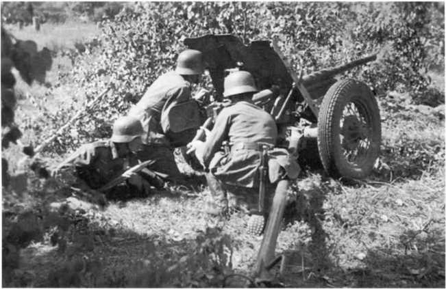 Иллюстрация к книге — Противотанковая артиллерия Вермахта во Второй Мировой войне. От "дверных колотушек" до "убийц танков" [i_131.jpg]