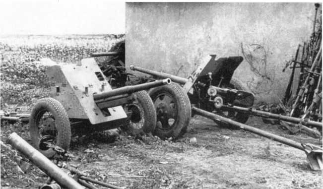 Иллюстрация к книге — Противотанковая артиллерия Вермахта во Второй Мировой войне. От "дверных колотушек" до "убийц танков" [i_132.jpg]