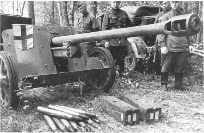Иллюстрация к книге — Противотанковая артиллерия Вермахта во Второй Мировой войне. От "дверных колотушек" до "убийц танков" [i_138.jpg]