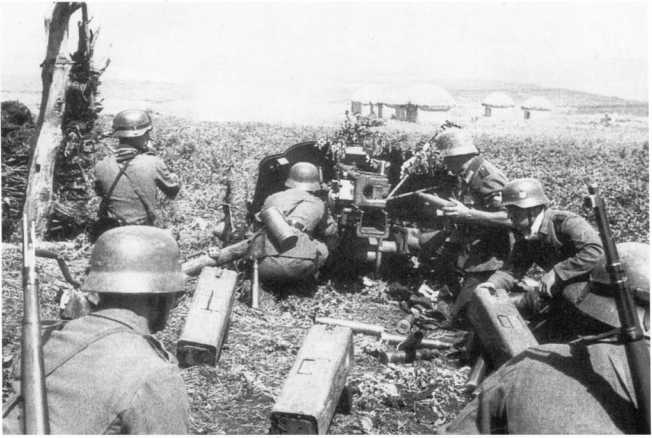 Иллюстрация к книге — Противотанковая артиллерия Вермахта во Второй Мировой войне. От "дверных колотушек" до "убийц танков" [i_139.jpg]