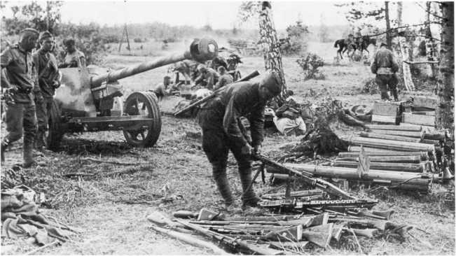 Иллюстрация к книге — Противотанковая артиллерия Вермахта во Второй Мировой войне. От "дверных колотушек" до "убийц танков" [i_143.jpg]