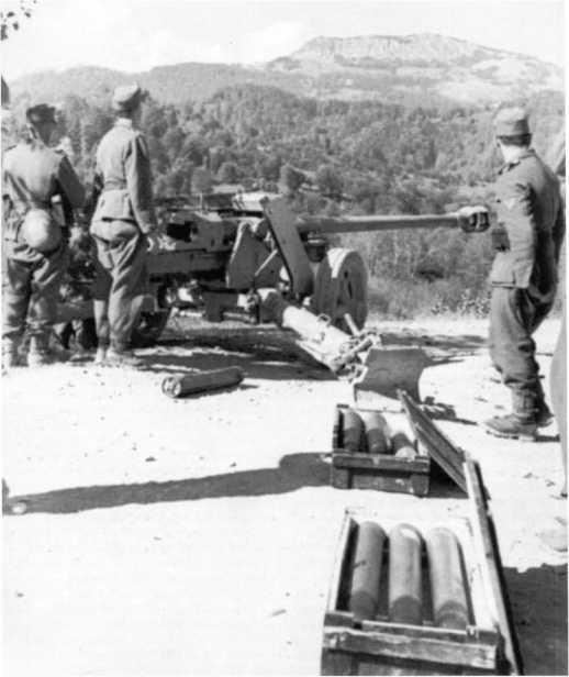 Иллюстрация к книге — Противотанковая артиллерия Вермахта во Второй Мировой войне. От "дверных колотушек" до "убийц танков" [i_147.jpg]