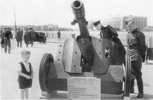 Иллюстрация к книге — Противотанковая артиллерия Вермахта во Второй Мировой войне. От "дверных колотушек" до "убийц танков" [i_149.jpg]