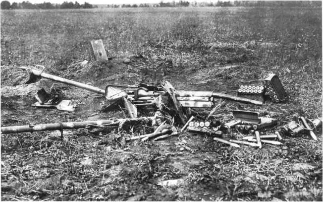 Иллюстрация к книге — Противотанковая артиллерия Вермахта во Второй Мировой войне. От "дверных колотушек" до "убийц танков" [i_150.jpg]