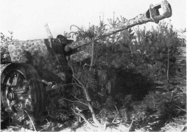 Иллюстрация к книге — Противотанковая артиллерия Вермахта во Второй Мировой войне. От "дверных колотушек" до "убийц танков" [i_151.jpg]