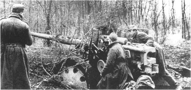 Иллюстрация к книге — Противотанковая артиллерия Вермахта во Второй Мировой войне. От "дверных колотушек" до "убийц танков" [i_155.jpg]