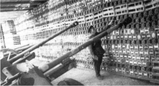 Иллюстрация к книге — Противотанковая артиллерия Вермахта во Второй Мировой войне. От "дверных колотушек" до "убийц танков" [i_173.jpg]