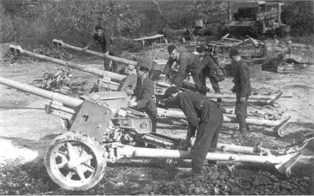 Иллюстрация к книге — Противотанковая артиллерия Вермахта во Второй Мировой войне. От "дверных колотушек" до "убийц танков" [i_178.jpg]