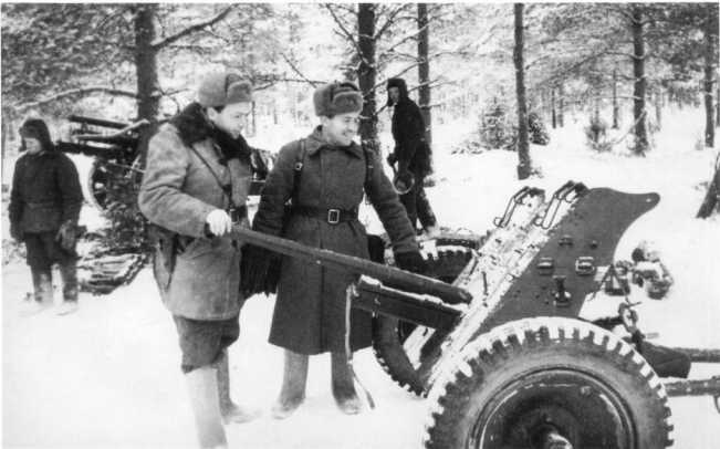 Иллюстрация к книге — Противотанковая артиллерия Вермахта во Второй Мировой войне. От "дверных колотушек" до "убийц танков" [i_182.jpg]