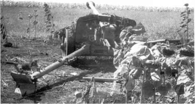 Иллюстрация к книге — Противотанковая артиллерия Вермахта во Второй Мировой войне. От "дверных колотушек" до "убийц танков" [i_183.jpg]