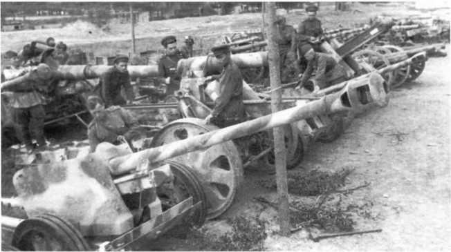 Иллюстрация к книге — Противотанковая артиллерия Вермахта во Второй Мировой войне. От "дверных колотушек" до "убийц танков" [i_184.jpg]