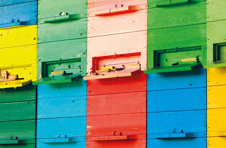 Иллюстрация к книге — LYKKE. Секреты самых счастливых людей [i_020.jpg]