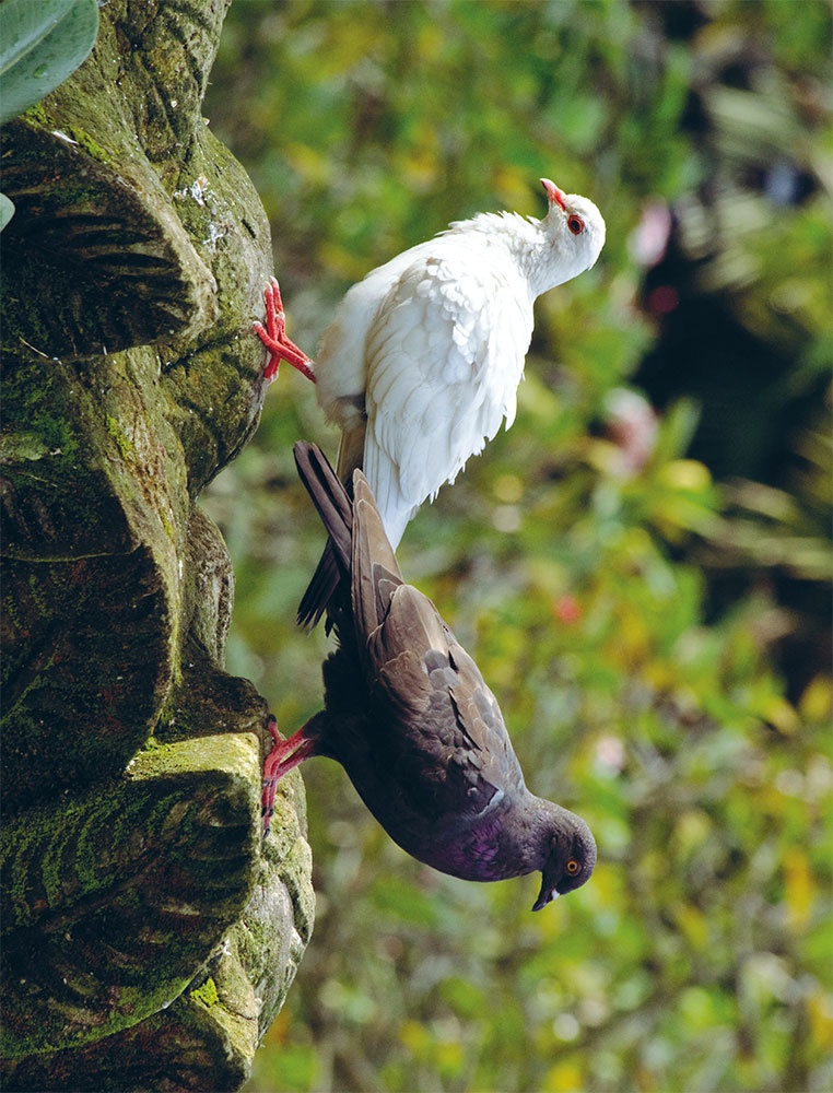 Иллюстрация к книге — LYKKE. Секреты самых счастливых людей [i_021.jpg]