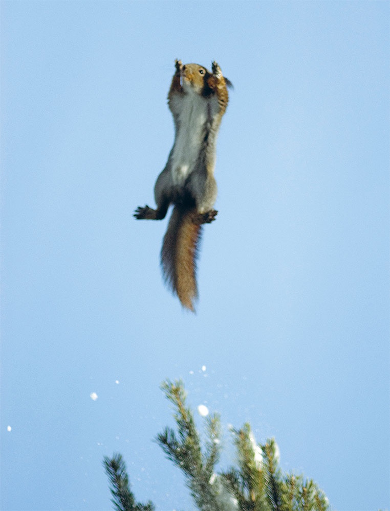 Иллюстрация к книге — LYKKE. Секреты самых счастливых людей [i_039.jpg]