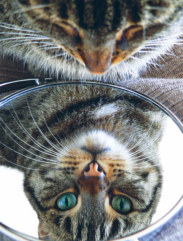 Иллюстрация к книге — LYKKE. Секреты самых счастливых людей [i_045.jpg]