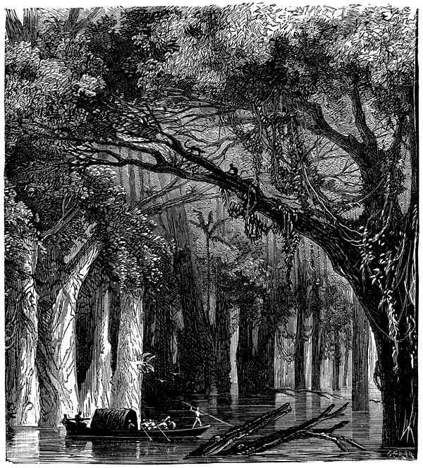 Иллюстрация к книге — Авантюристы. Морские бродяги. Золотая Кастилия (сборник) [i_059.jpg]