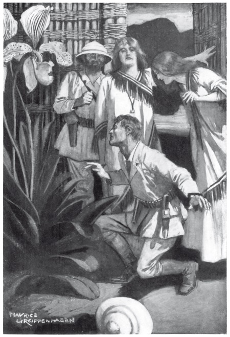 Иллюстрация к книге — Священный цветок. Чудовище по имени Хоу-Хоу. Она и Аллан. Сокровище озера [i_003.jpg]