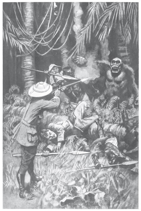 Иллюстрация к книге — Священный цветок. Чудовище по имени Хоу-Хоу. Она и Аллан. Сокровище озера [i_015.jpg]