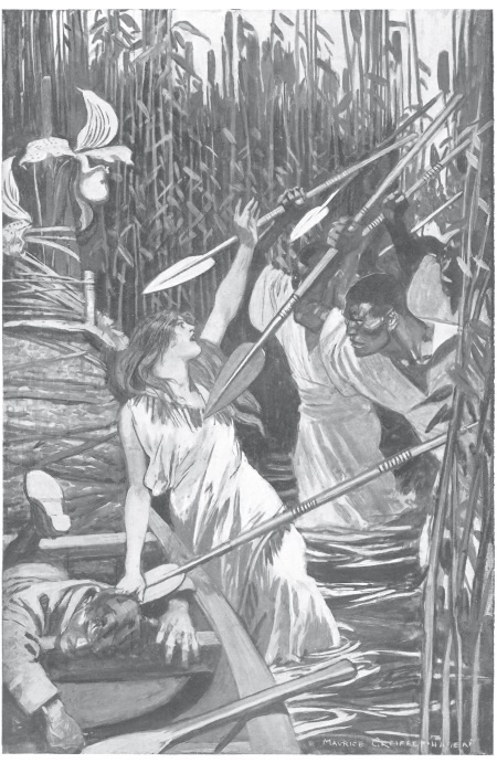 Иллюстрация к книге — Священный цветок. Чудовище по имени Хоу-Хоу. Она и Аллан. Сокровище озера [i_016.jpg]