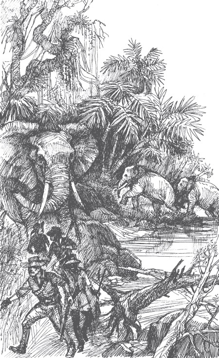 Иллюстрация к книге — Священный цветок. Чудовище по имени Хоу-Хоу. Она и Аллан. Сокровище озера [i_034.jpg]