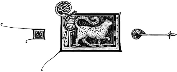 Иллюстрация к книге — Дарители. Книга 5. Сердце бури [i_001.jpg]