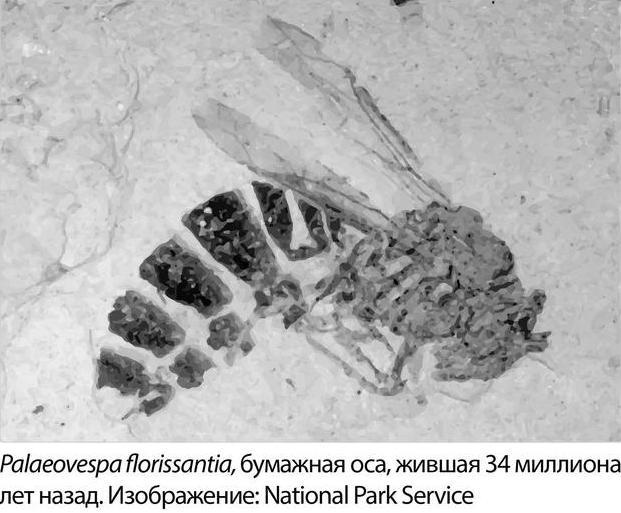 Иллюстрация к книге — Венец демона [i_004.jpg]