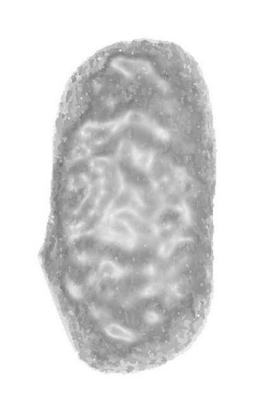 Иллюстрация к книге — Венец демона [i_051.jpg]