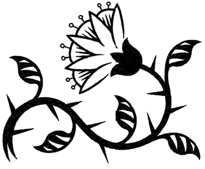 Иллюстрация к книге — Ореховый лес [i_025.jpg]