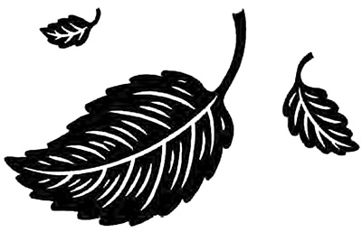 Иллюстрация к книге — Ореховый лес [i_031.jpg]