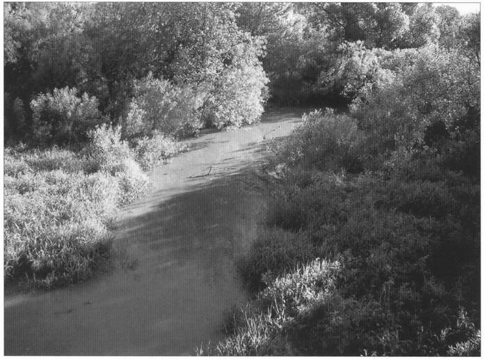 Иллюстрация к книге — Клады Отечественной войны [i_018.jpg]