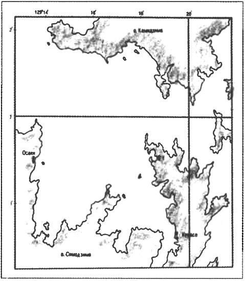Иллюстрация к книге — Россия, какой она могла бы быть. История приобретений и потерь заморских территорий [i_062.jpg]