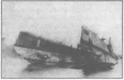 Иллюстрация к книге — Россия, какой она могла бы быть. История приобретений и потерь заморских территорий [i_091.jpg]