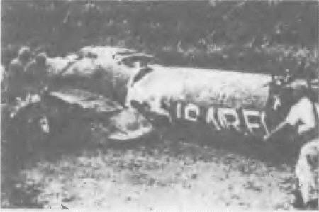 Иллюстрация к книге — Россия, какой она могла бы быть. История приобретений и потерь заморских территорий [i_124.jpg]