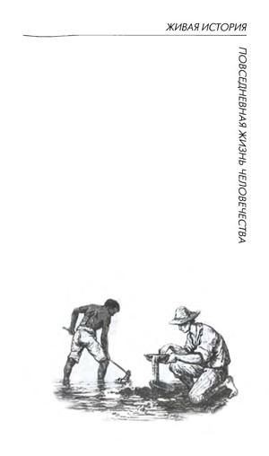 Иллюстрация к книге — Повседневная жизнь Калифорнии во времена "золотой лихорадки" [serie_title.jpg]