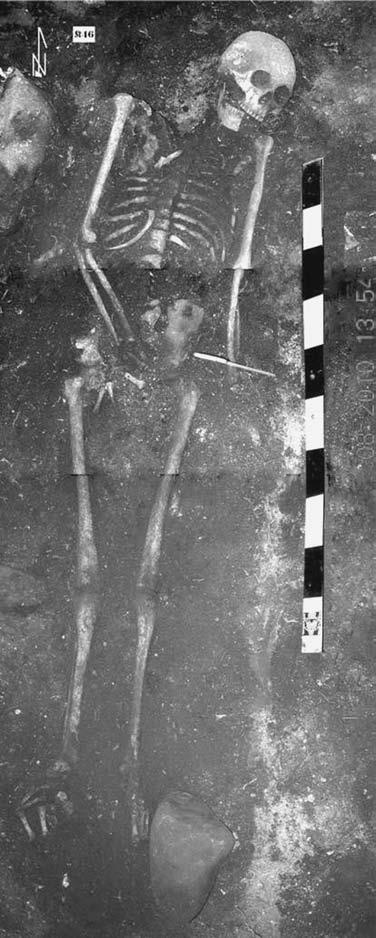 Иллюстрация к книге — Пруссы эпохи викингов. Жизнь и быт общины Каупа [i_063.jpg]