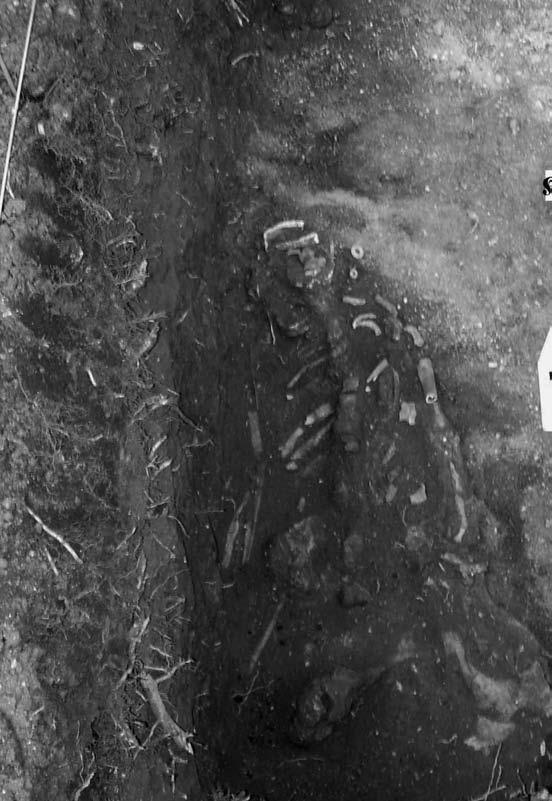 Иллюстрация к книге — Пруссы эпохи викингов. Жизнь и быт общины Каупа [i_072.jpg]