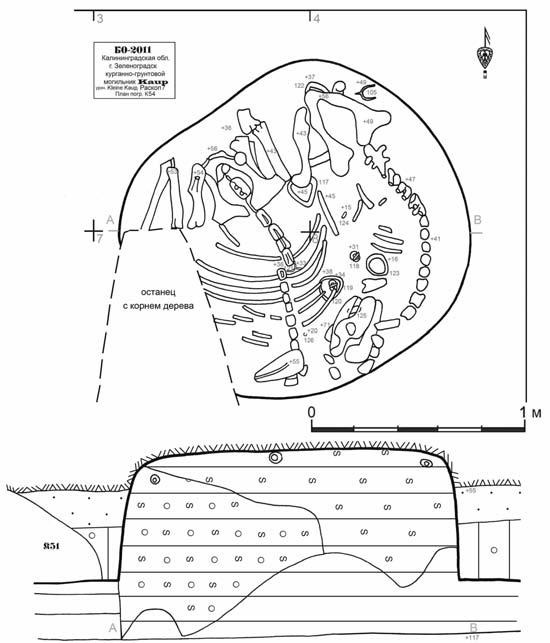Иллюстрация к книге — Пруссы эпохи викингов. Жизнь и быт общины Каупа [i_079.jpg]