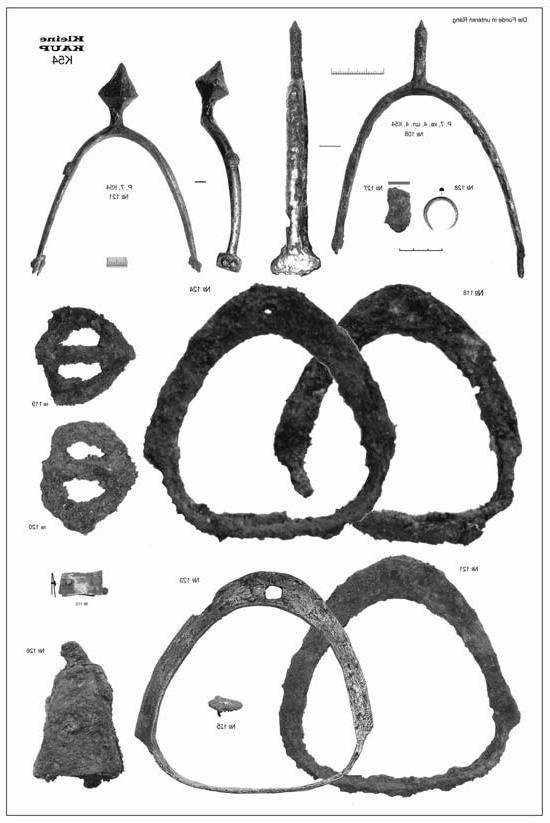 Иллюстрация к книге — Пруссы эпохи викингов. Жизнь и быт общины Каупа [i_080.jpg]