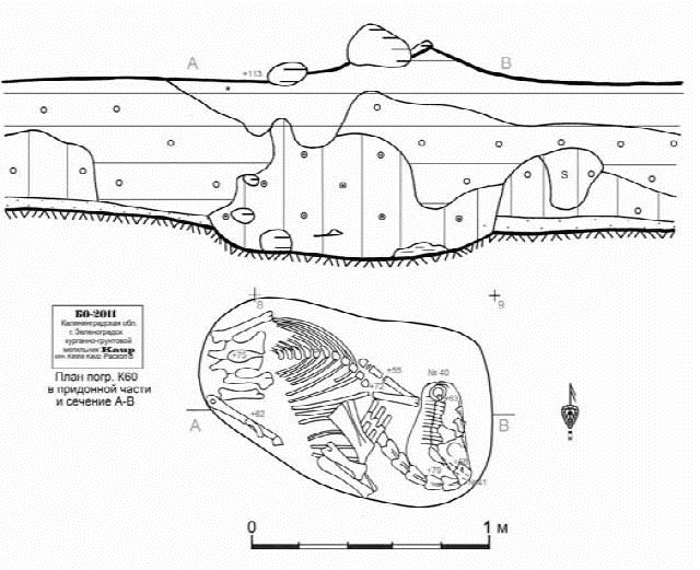 Иллюстрация к книге — Пруссы эпохи викингов. Жизнь и быт общины Каупа [i_092.jpg]