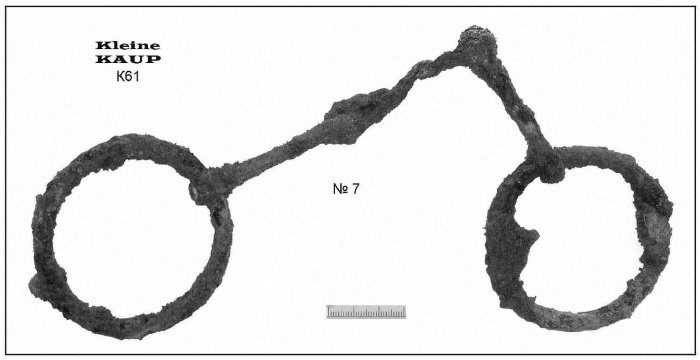 Иллюстрация к книге — Пруссы эпохи викингов. Жизнь и быт общины Каупа [i_094.jpg]