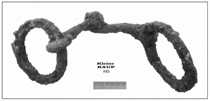 Иллюстрация к книге — Пруссы эпохи викингов. Жизнь и быт общины Каупа [i_096.jpg]