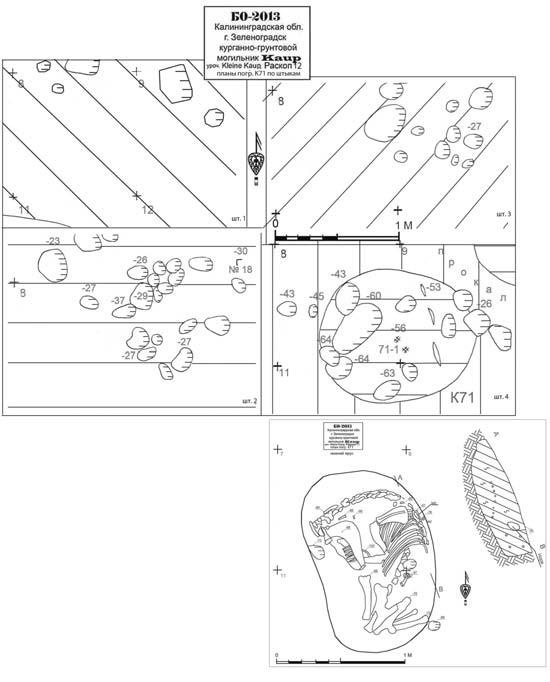 Иллюстрация к книге — Пруссы эпохи викингов. Жизнь и быт общины Каупа [i_110.jpg]